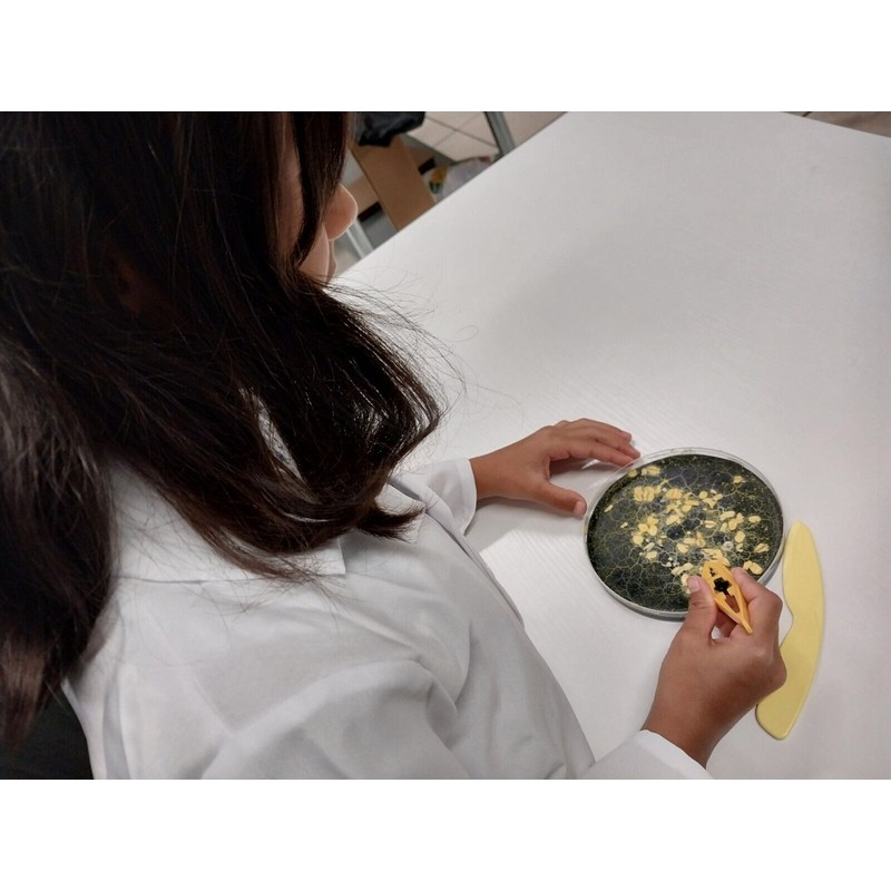 Liquid Fungi Pet Blob Home School Science Kit Complete with