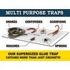 MaxGuard Extra Large Cricket Traps (8 Traps) | Non-Toxic Extra