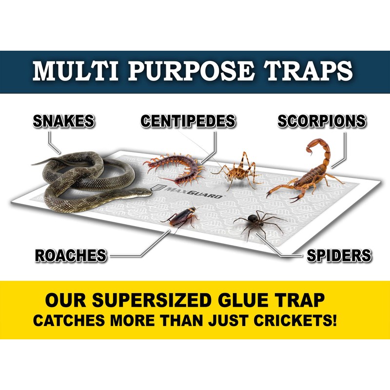 MaxGuard Extra Large Cricket Traps (8 Traps) | Non-Toxic Extra