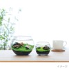 Seishin Ceramics Growing Aquatic Plants S Approx. 12.6x12x11.6cm GD-812