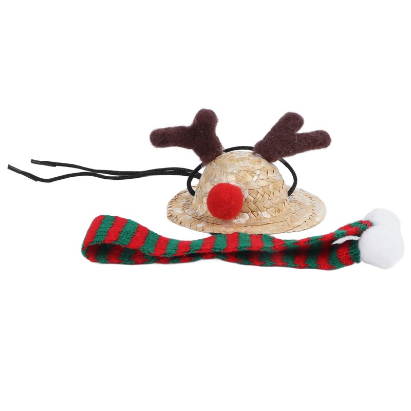 Bearded Dragon Santa Hat Cute Soft Scarf Adjustable Size Bright
