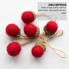 VICASKY Christmas Craft DIY Felt Ornaments Wool Tree Decoration Set
