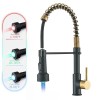MVMHOME Black and Gold LED Kitchen Faucet with Pull Down