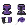 Chicken Harness and Leash Set，Black M
