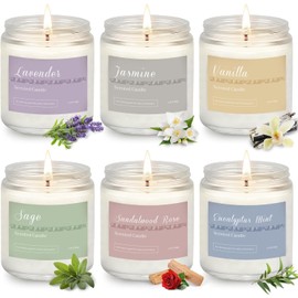 Holiday Scented Candle Gift Set, 6 Pack Natural Soy Candles for Home, Long Lasting Christmas Gifts for Women, Men, Friends & Family, Winter Aromatherapy Candle Set for Relaxing & Home Décor
