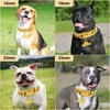 Gold Dog Collar Chain with Pendant Tag,Stainless Steel Walking Metal