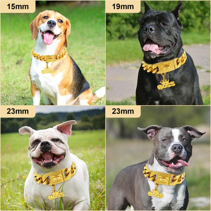 Gold Dog Collar Chain with Pendant Tag,Stainless Steel Walking Metal