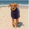 Ruff and Tumble Dog Drying Coat - Classic Collection |