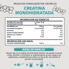 Creatina Monohidratada Micronizada en Polvo Pre Workout - 100 Alta