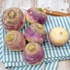 Eden Brothers Rutabaga Seeds - American Purple Top