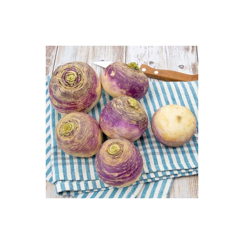 Eden Brothers Rutabaga Seeds - American Purple Top