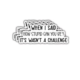 (3pcs) When I Said How Stupid Can You Be It's Wasn't A Challenge Sticker Funny Sayings Quotes Inspirational Vinyl Decal Stickers for Tumbler Laptop Kindle Water Bottles Tablet Books Phone- Size 3x1.2