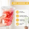 Clawsoff 100 Pack 16 oz Disposable Clear Plastic Cups with