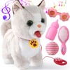 Ylpaprm Walking Cat Set Interactive Talking Toy Kitten Repeat What
