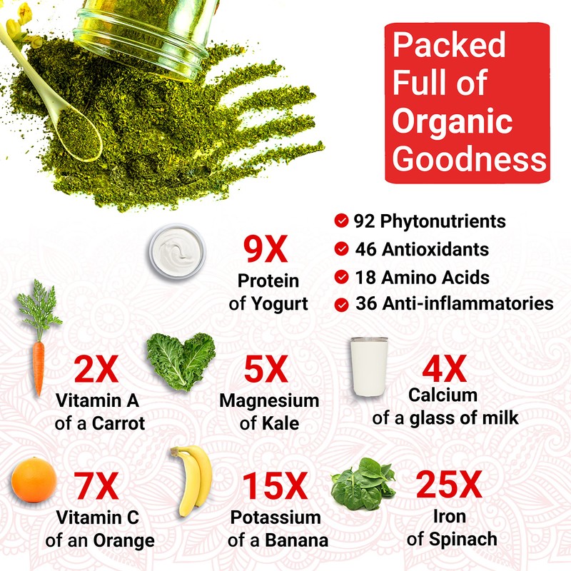 Organic Moringa Capsules Organic - Moringa Oleifera Capsules | Natural
