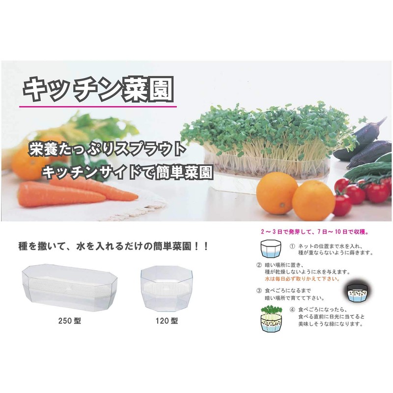 Daiwa Plastic Kitchen Farm 250 1.0L Green