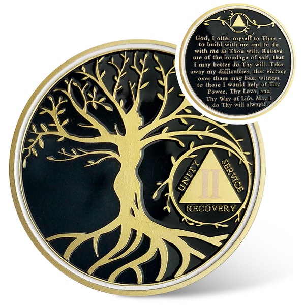 IELCJJ 2 Year Sobriety Coin, Tree of Life AA Chips