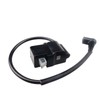 1138 400 1300 Ignition Coil with Spark Plug for Stihl