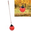Plplaaoo Inflatable Ball Swing for Kids | Buoy Ball Swing