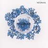 NEONAIL Nail Art Flowers Set - Dried Flowers - Nail