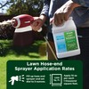 Advanced 16-4-8 Lawn Fertilizer - Liquid Lawn Food Spring &