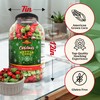 Stonehedge Farms Christmas Kettle Corn Popcorn | 26 oz Large