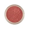 Rainbow Dust Strawberry - Edible Powder Colour 4g