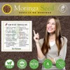 BEXPERTSUSA Store Moringa Seeds (Semillas) – 3.5 oz (Approx. 350