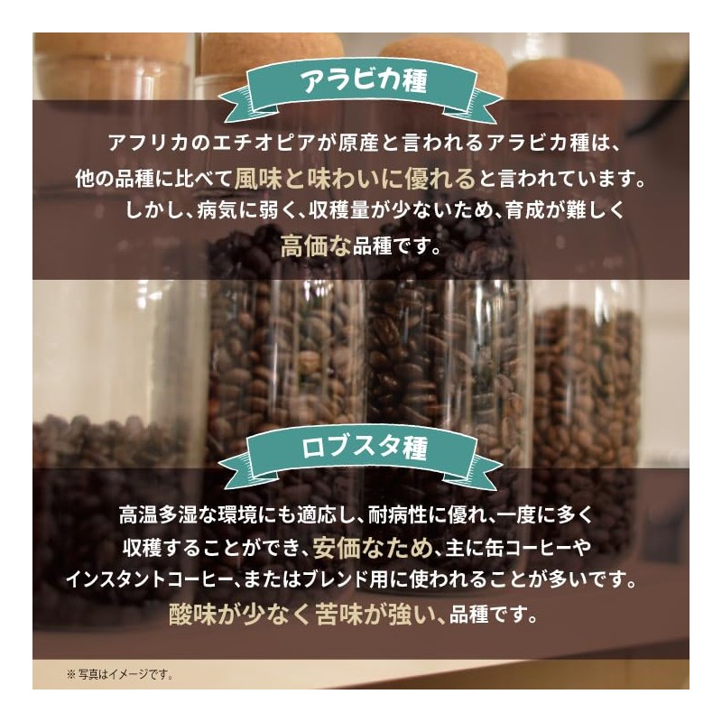 Mount Hagen Organic Fair Trade Instant Coffee 100g 3 Count