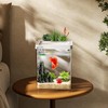 ERAARK Smart Betta Fish Tank 1.5 Gallon Aquarium kit self