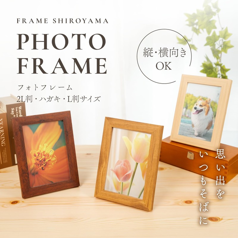 FRAME SHIROYAMA 275 Frame Airframe Resin Simple Interior Poster Photo