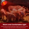 DaToo Infrared Heat Lamp Bulb for Chickens Red Heat Lamp
