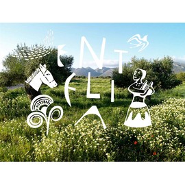 Entelia 2020 Harvest Greek Extra Virgin Olive Oil from Crete - 0.5 Liter / 16.9 Ounce