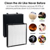 Flintar True HEPA Replacement Filter, Compatible with Okaysou(Oksou) Apollo 630/718