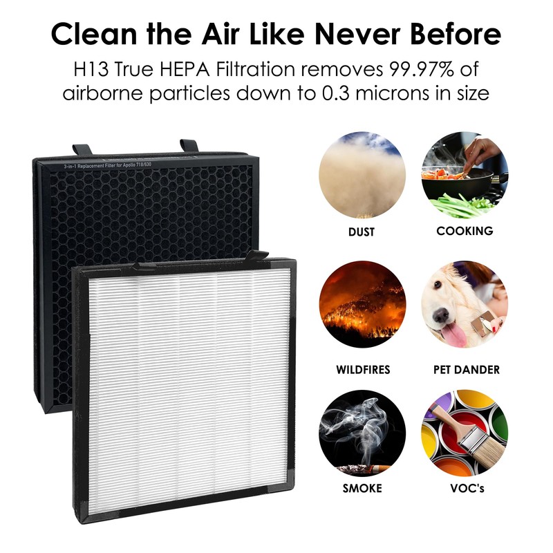 Flintar True HEPA Replacement Filter, Compatible with Okaysou(Oksou) Apollo 630/718