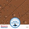 Thompson’s WaterSeal Solid Color Waterproofing Wood Stain and Sealer, Chestnut