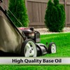 STP Premium Small Engine 4 Cycle Oil Formula, SAE-30 Small
