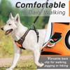 Eagloo Dog Harness No Pull, Walking Pet Harness with 2