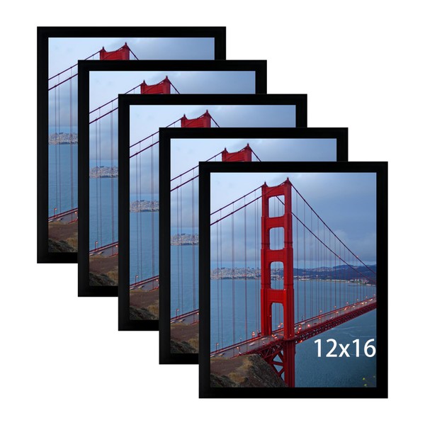 BESCRCL 12x16 Picture Frame Wall Hanging Photo Frame, Black, 5