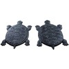 Set of 2 Iron Verdigris Garden Turtle Stepping Stone