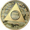 36 Year AA Medallion Camo Gold Plated Anniversary Chip Camouflage