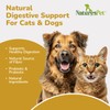 Dogs & Cats Probiotic Powder 5 Billion CFU Per Scoop-