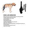 Qcwwy Dog Knee Braces for Hind Leg, Dog Hind Leg