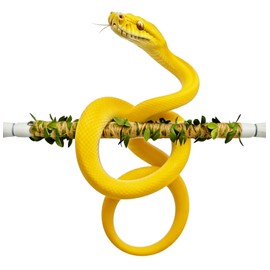Play as Pro Snake Climbing Stick for Ball Python & Corn Snake,Reptile Enrichment Toys,Snake Enclosure Accessories for Reptile Tank Accessories for Bearded Dragon,Chameleon,Iguana,Gecko,Lizard,Parrot