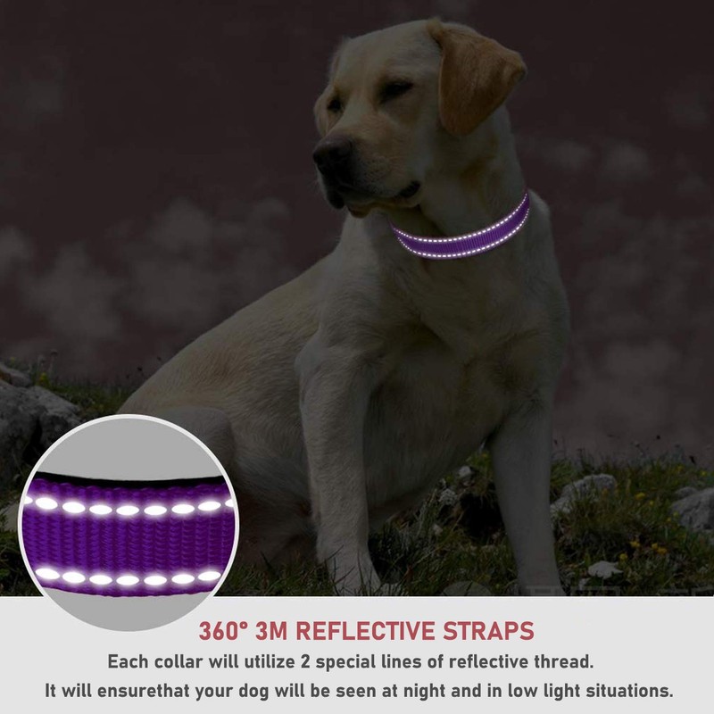Reflective Dog Collar with Buckle Adjustable Safety Nylon Collars for
