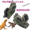Sugarello Reptile Cave Climbing Tree Playground Driftwood Aquarium Terrarium Decoration
