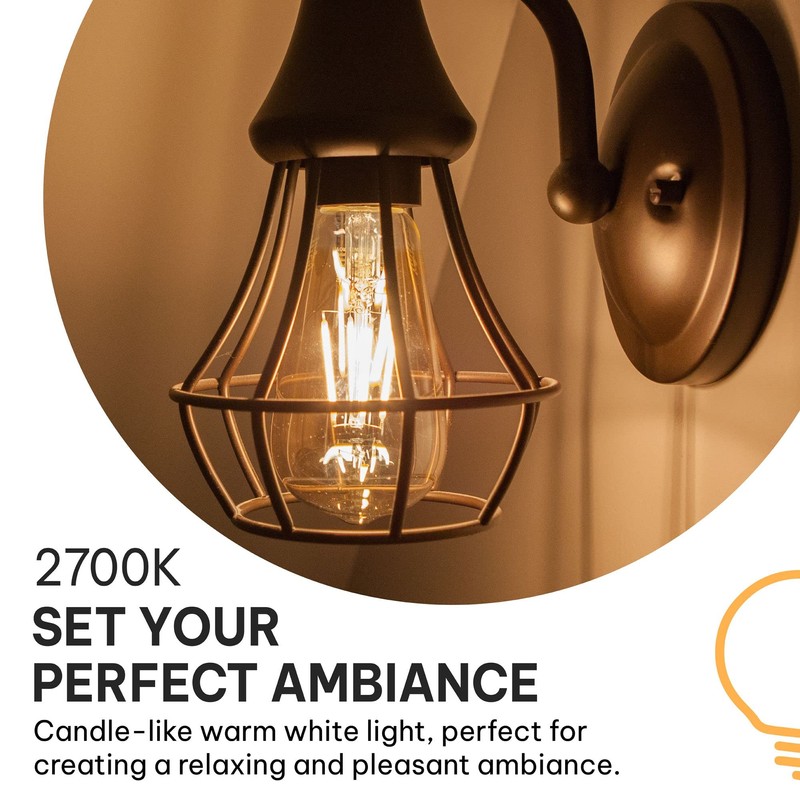 HUDSON BULB CO. Vintage Edison LED Light Bulbs 6W (6