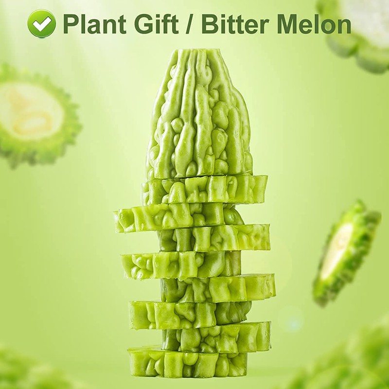 Greenlike Bitter Melon Fruit｜Ku Gua Gan｜苦瓜干｜Fruit of Momordica charantia Linn.