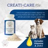 Pancreatic Enzyme for Dogs - Creati-Care 10x Dog Digestive Enzymes