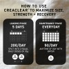 Kaged Creaclear Creatine Monohidratada Micronizada Premium